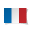 French (fr-FR) 